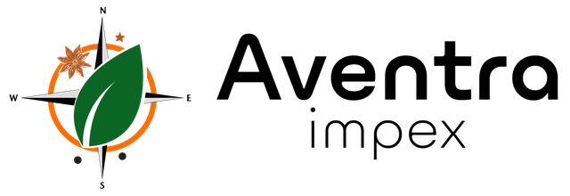 Aventra Impex Logo